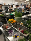 Gift Certificate - Adult 1/2 Day Culinary Experience