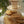 1/2 Day "Let's Do Brunch!" 9:00AM-1:30PM