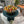 1/2 Day "Let's Do Brunch!" 9:00AM-1:30PM