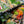 Full Day - Island Flavours, August 2, 2025 9:00AM-5:00PM