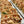 1/2 Day - Savour the Season - 12:30PM-5:30PM