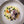 Full Day - Island Flavours, August 2, 2025 9:00AM-5:00PM